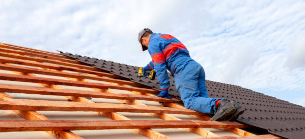Best Roof Moss and Algae Removal  in Weimar, TX